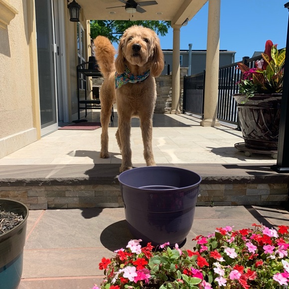 Meet your Posher, Jennifer - Picture 1 of 1